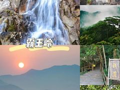-海南霸王岭国家森林公园