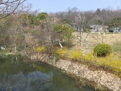 -羊山湖公园