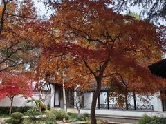 -狼山风景名胜区