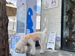 -小意思咖啡店(草桥店)