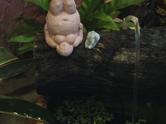 -六区宿舍咖啡店