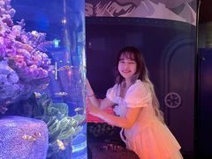 -暹罗海洋世界
