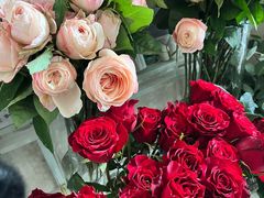 -SONGUOLIFE松果咖啡(七莘路店)