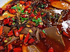 -龙翔山庄雷鸡肉(青城后山泰安古镇店)