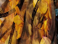 -三圣花乡旅游区