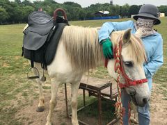 -合肥三国新城遗址公园