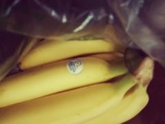 -柯剑飞超级水果批发中心(东港店)