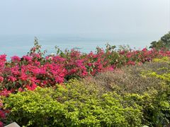 -涠洲岛火山国家地质公园