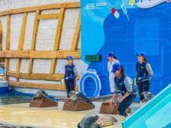 -秦皇岛乐岛海洋王国