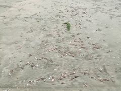 -江山半岛白浪滩景区