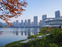 -梅溪湖城市岛
