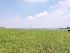 -乌兰布统草原