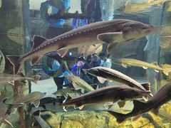 -波塞冬旅游度假区