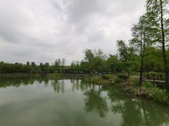 -大塘金香草谷