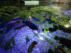 -成都浩海立方海洋公园