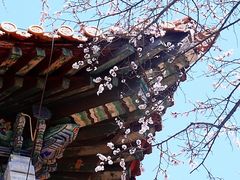 -沈阳市东陵公园