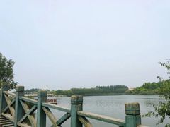 -塘沽森林公园
