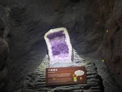 -正佳自然科学博物馆