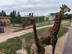 -鄂尔多斯野生动物园