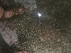 -厦门日月谷温泉渡假村