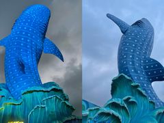 -珠海长隆海洋王国