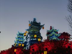 -淄博花灯齐彩城