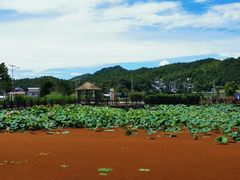 -梁野山景区