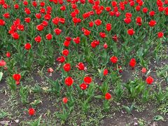 -长春公园(普阳街道)