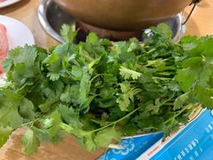 香菜-元盛居(生态大街店)