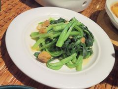-老广酒楼(樱花店)
