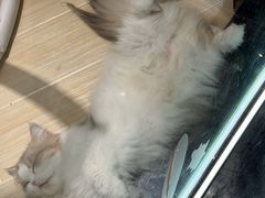 -上海尚嘉中心