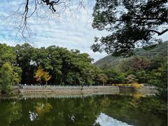 -阿育王寺