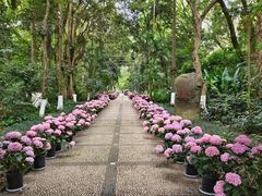 -广西壮族自治区药用植物园