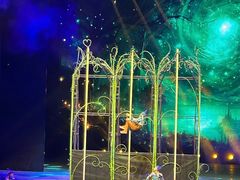 -水秀国际大剧院