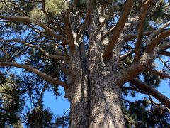 -终南山南五台景区