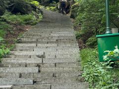 -汤旺河林海奇石景区