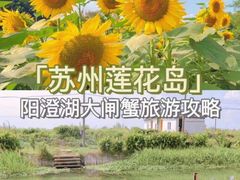 -莲花岛景区
