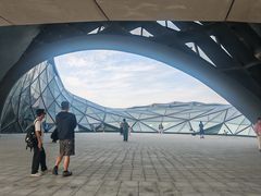 -哈尔滨大剧院