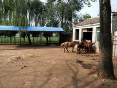 -祥源·阜阳生态乐园