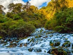 -叠溪松坪沟景区