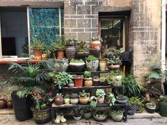 -王万妈卤猪脚(青岩交通路)