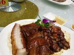 -鹅城