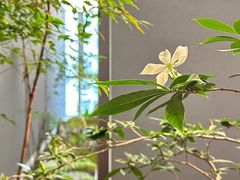 -四方茶集·茶馆(南山科技园店)
