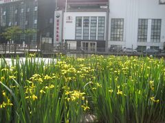 -苏州河梦清园环保主题公园