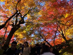 -常寂光寺