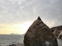 -广东惠东海龟国家级自然保护区