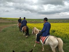 -青海湖国家重点风景名胜区