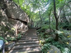 -大岭沟猕猴桃谷风景区