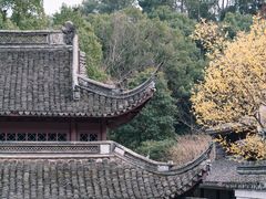 -宁波市保国寺古建筑博物馆