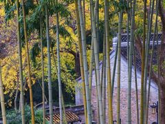 -南山风景名胜区